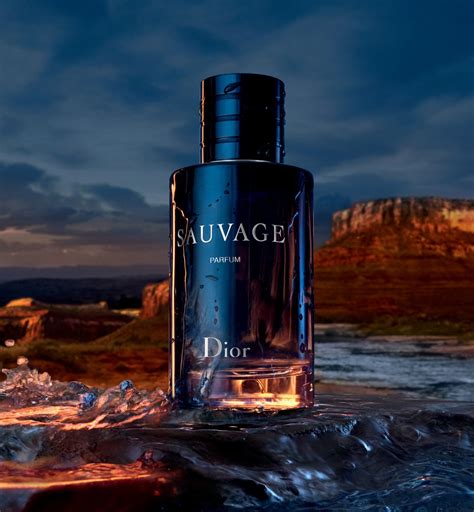 dior sauvage bargello|sauvage by dior cologne.